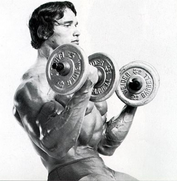 Arnold Schwarzenegger : biceps